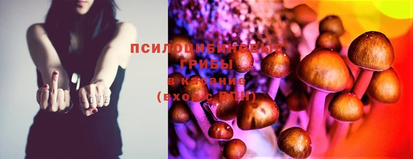 индика Баксан