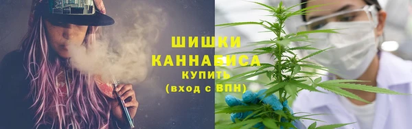 прущие грибы Армянск
