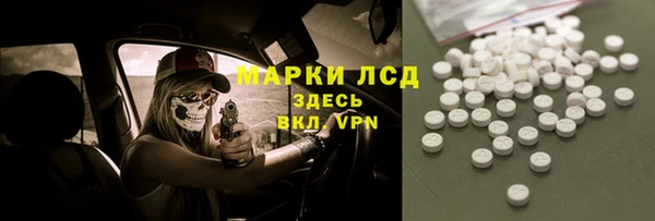 стаф Аркадак