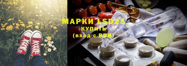 стаф Аркадак