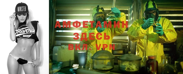 прущие грибы Армянск
